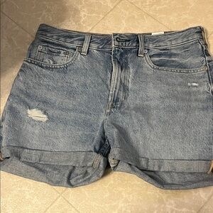 Everlane Light Blue Jean Shorts